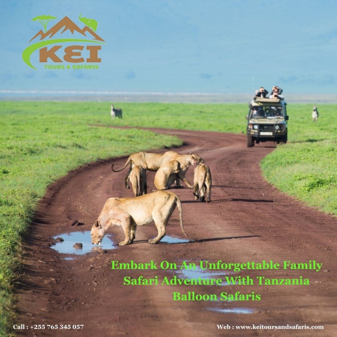 Tanzanian Safari