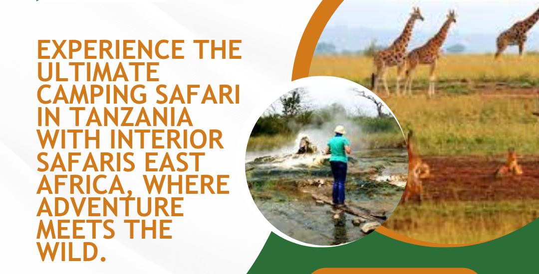 East African Safari Tours in Ruaha