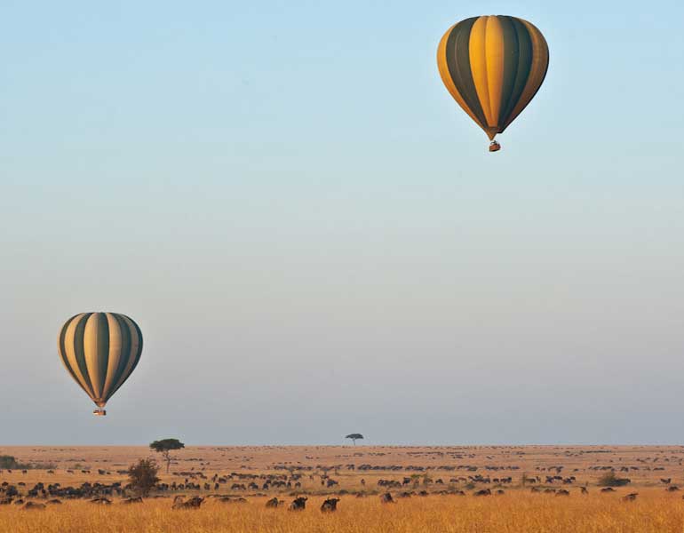 Balloon Safari