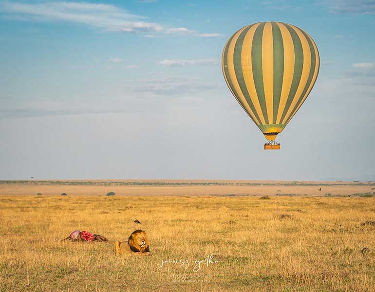 Balloon Safari