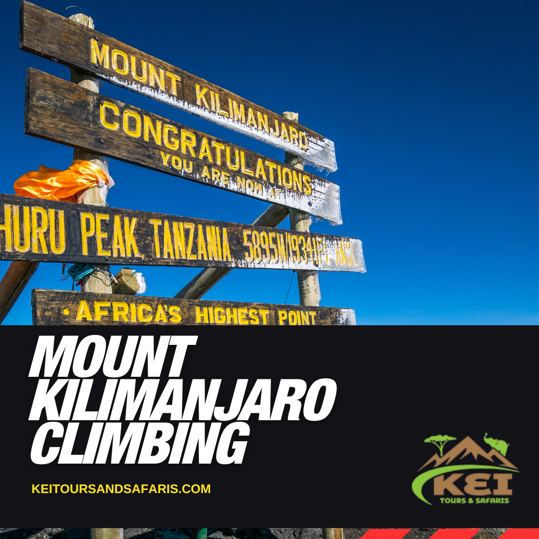 Mount Kilimanjaro Climbing