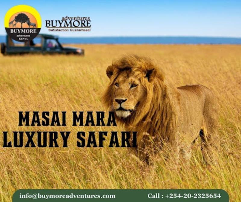 Masai Mara Luxury Safari