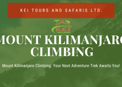 Mount Kilimanjaro Climbing