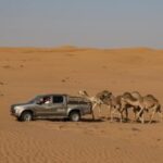 Oman Tourist Places Oman Tours