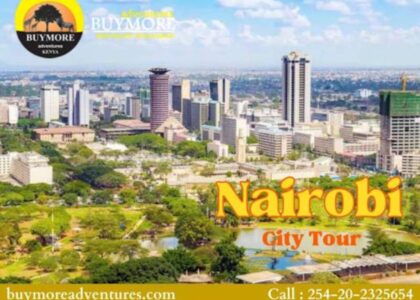 Nairobi Day Tour Excursions