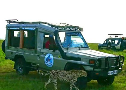 National Game Reserves in Kenya