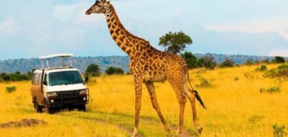 Masai Mara Big Five Safaris