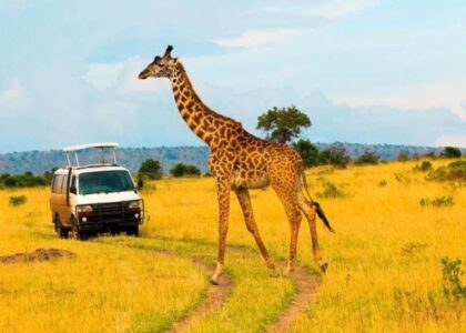 Masai Mara Big Five Safaris