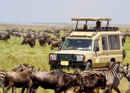 Masai Mara Migration Safari