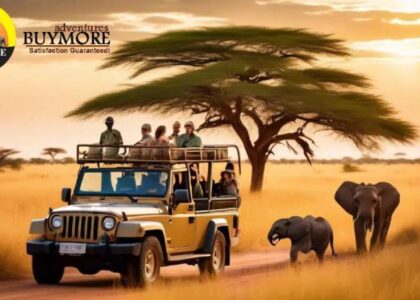Budget Kenya Safari