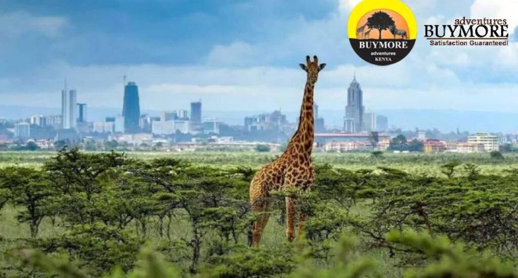 Nairobi Day Tour Excursions