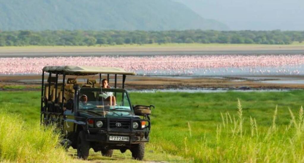 Tanzania Safaris