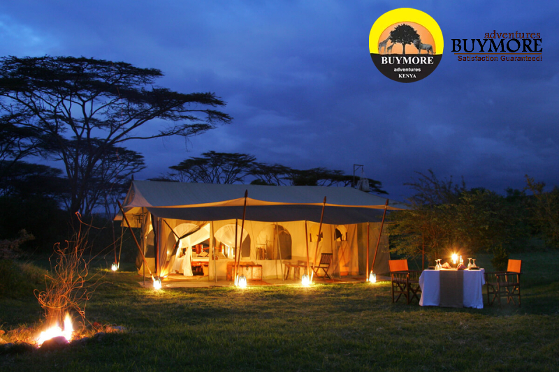 Luxury Safari Kenya
