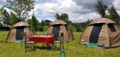 Tented Camps Tours Kenya