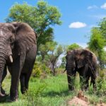 Places to Visit in South Africa