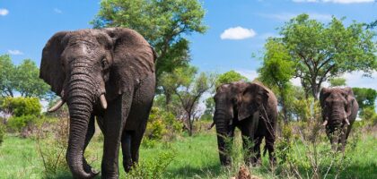 Places to Visit in South Africa