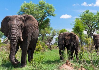 Places to Visit in South Africa
