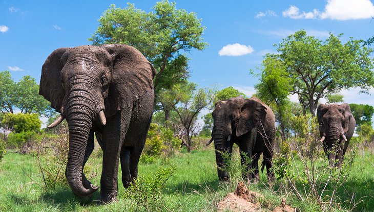 Places to Visit in South Africa