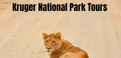 Kruger National Park Tours from Johannesburg